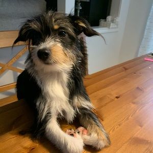 Meet your Posher, Maride